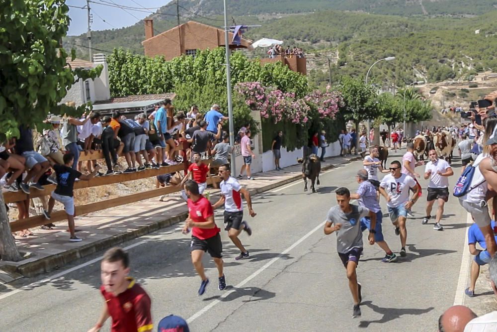 "Entrà de les Vaques" de Tibi