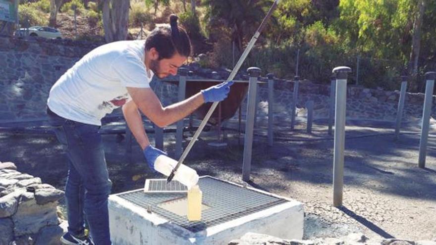 La ULPGC ensaya con éxito en Tafira  la depuración natural de fármacos