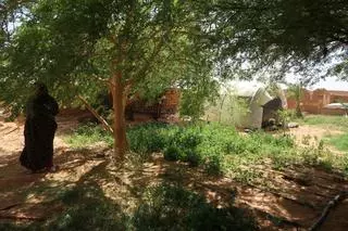 Malnutrición en los campamentos