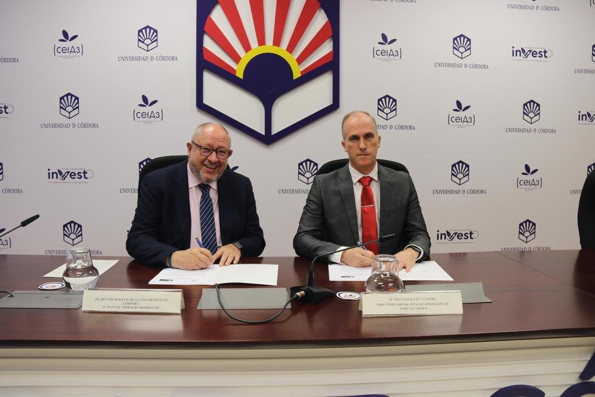 Ximenez Iluminación y la Universidad de Córdoba se alían para mejorar la eficiencia energética del alumbrado festivo.