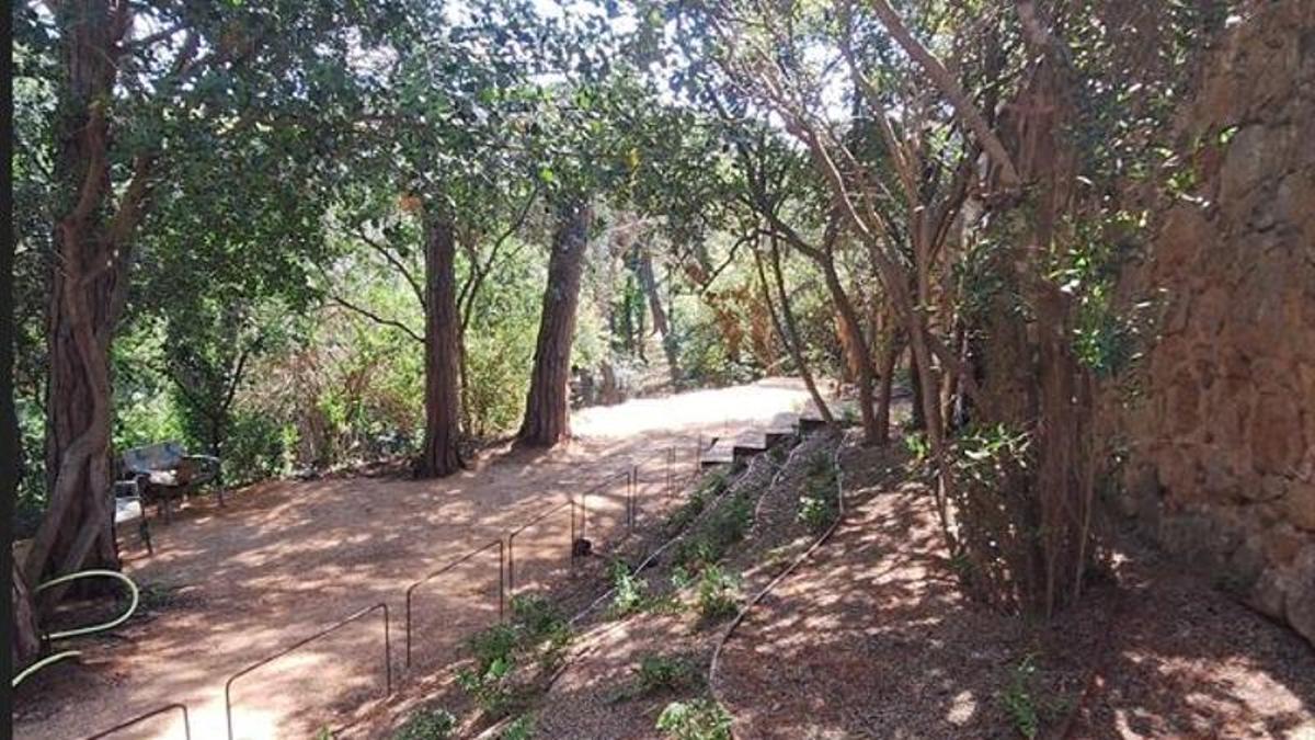 Els Jardins del Monestir de Sant Feliu de Guíxols, després de les obres de millora i renovació de l’espai.