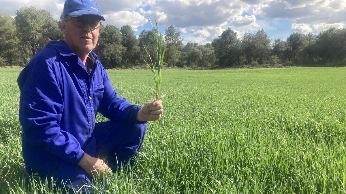 Jordi Segarra en un dels camps que té a la finca de Can Serra, a Fals