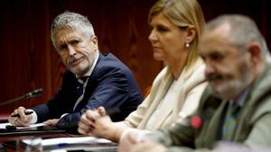 El PP acorrala Marlaska amb el viatge de Delcy i els mòbils d’Aldama