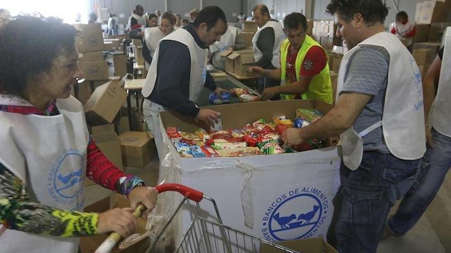 Organización de los alimentos en Bancosol tras la última Gran Recogida.