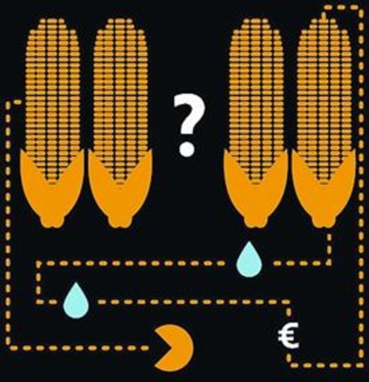 Fracking i blat de moro_MEDIA_2