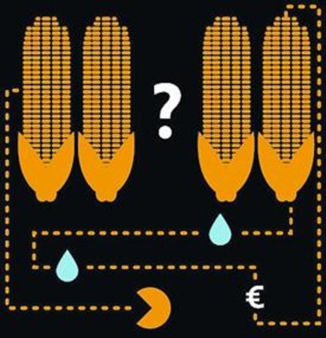 Fracking i blat de moro_MEDIA_2