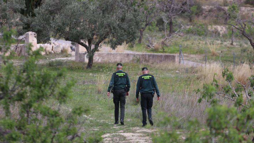 Una vecina de Benissa, grave al atacarla dos perros