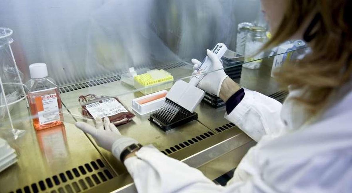 Una investigadora, trabajando en el laboratorio. // FdV