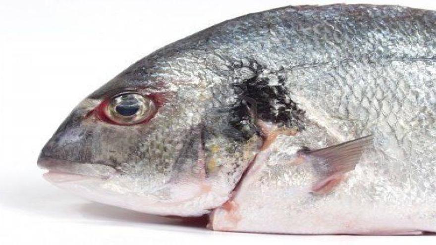 Cómo comprar pescado fresco - El Periódico Mediterráneo