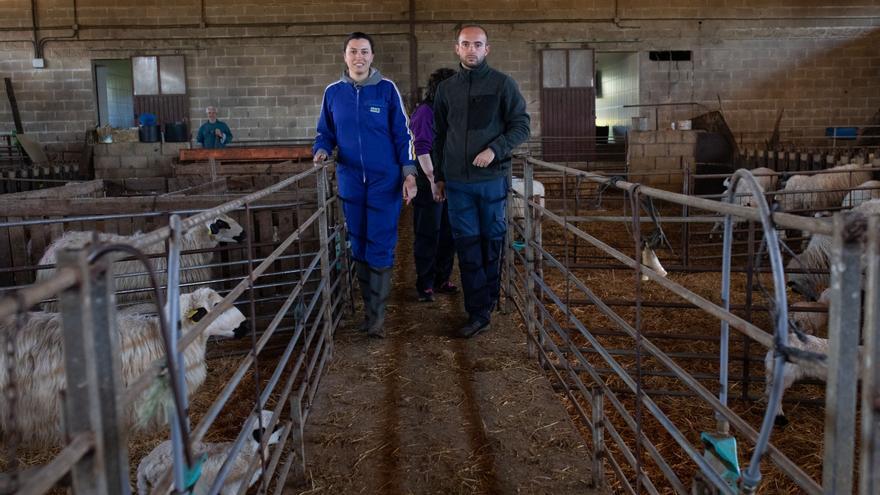 VÍDEO | Aprendiendo a ser ganaderos: El proyecto de enseñanza en la Zamora rural