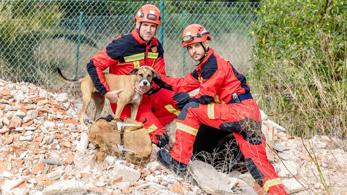 Bomberos guías caninos de Alicante regresan del terremoto de Turquía y relatan cómo familiares de los sepultados les pedían por favor que buscaran entre los escombros.