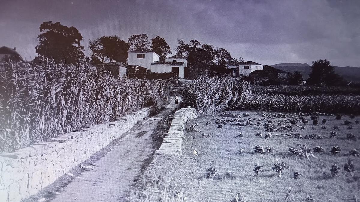 El camino de acceso a la Casa de Colón en el año 1924, cuando Ruth Matilda Anderson realiza su primer viaje a Galicia.
