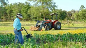 Archivo - Agricultor trabajando en el campo