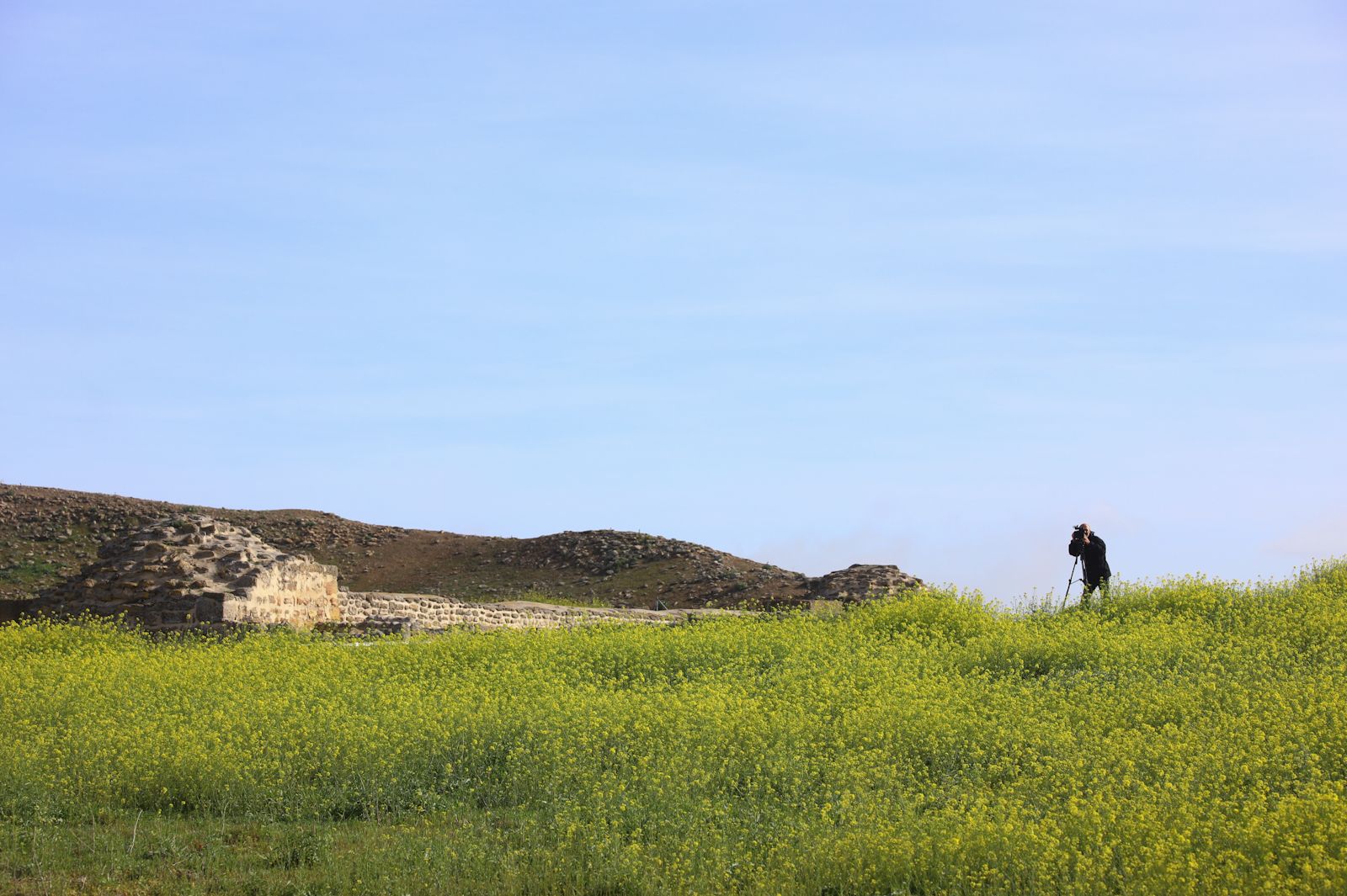 Sale a la luz un anfiteatro romano en Ategua