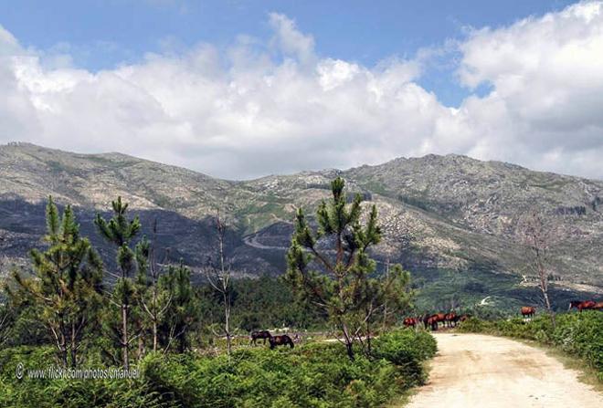 Parque Nacional da Peneda-Gerês