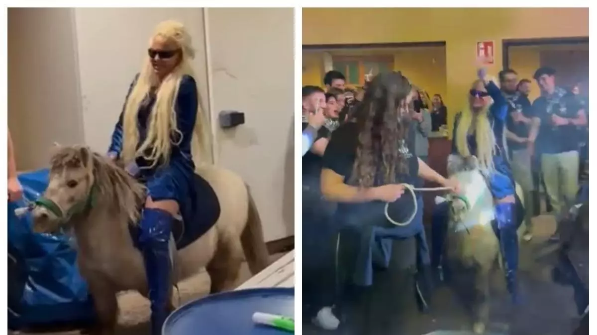 La última extravagancia de Leticia Sabater: llega a un concierto en Castellón subida en un poni