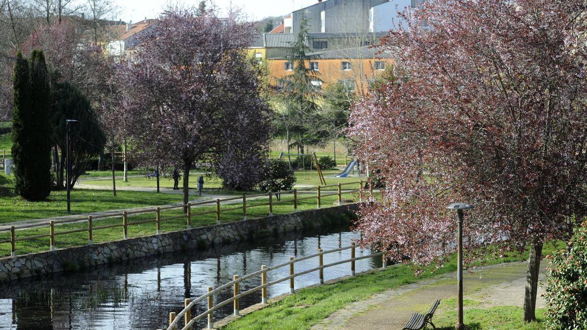 El Paseo do Pontiñas de Lalín con colorido en sus árboles y plantas.