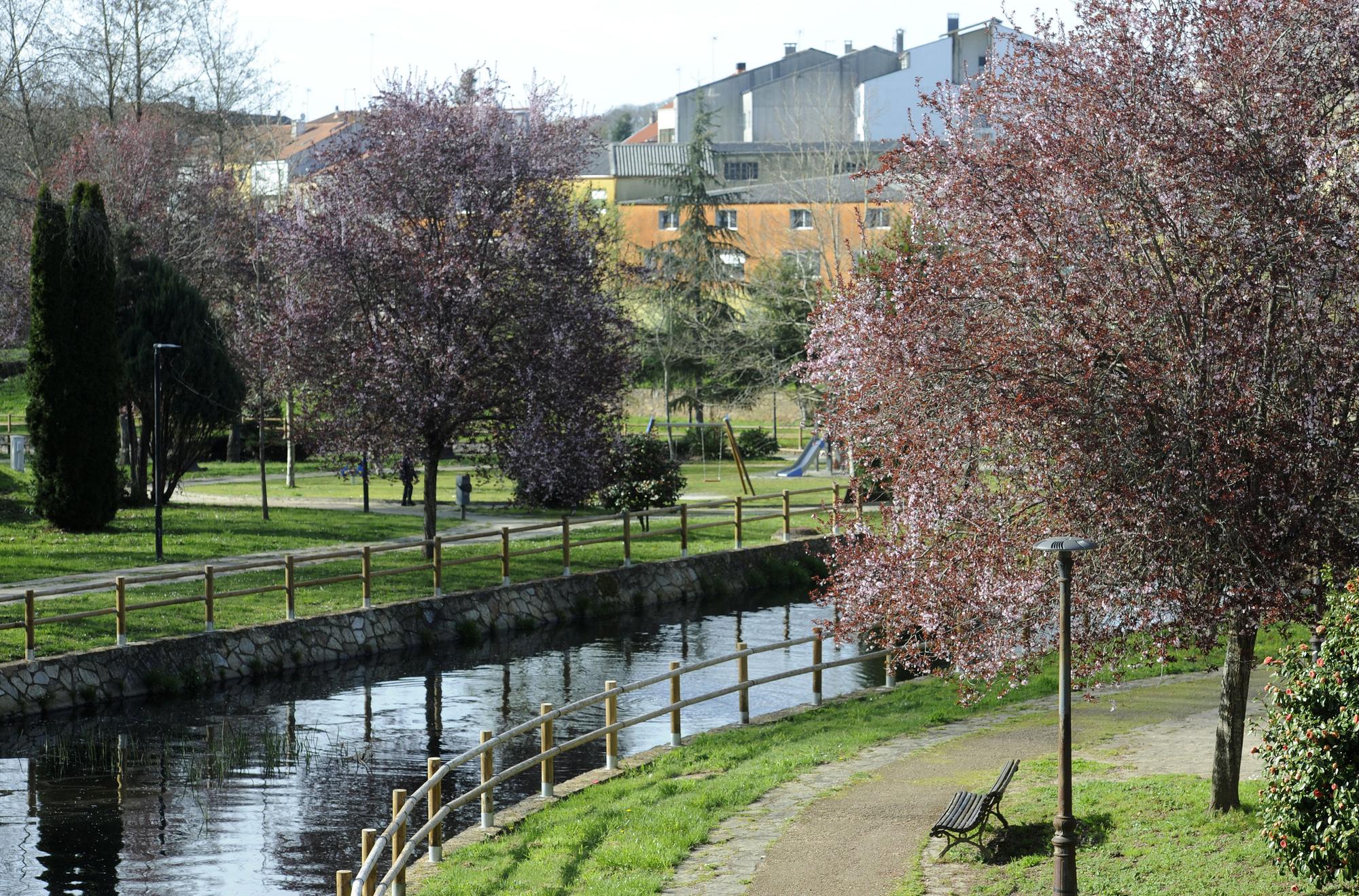 El Paseo do Pontiñas de Lalín con colorido en sus árboles y plantas.