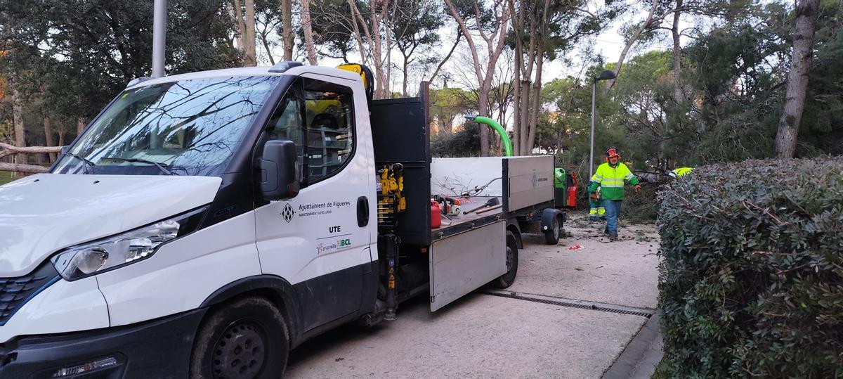 EN IMATGES | Retiren els arbres caiguts al Parc Bosc de Figueres per la llevantada