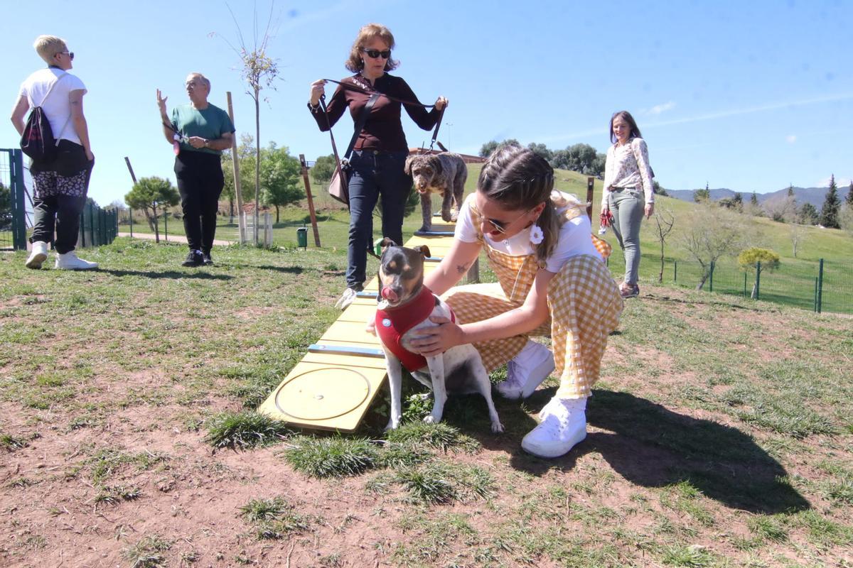 Un perro y su dueña en la zona de juegos caninos de la Asomadilla.