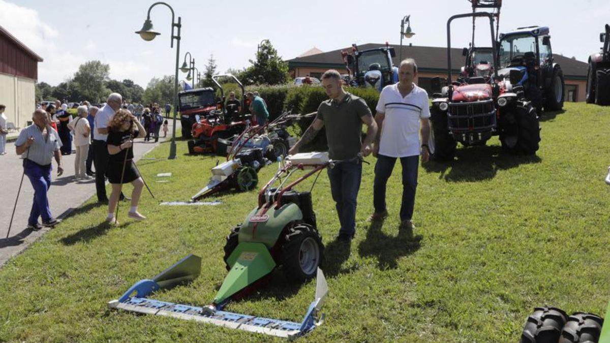 El Asturcón resucita con la vuelta de la feria ganadera: “Oviedo mira de nuevo a sus raíces”