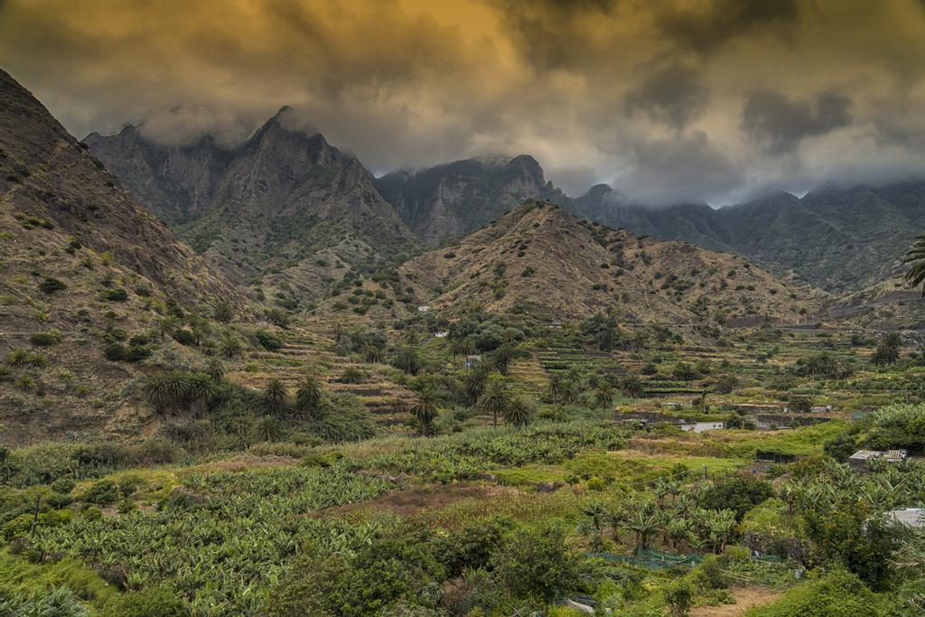 Parque Nacional de Garajonay, La Gomera.