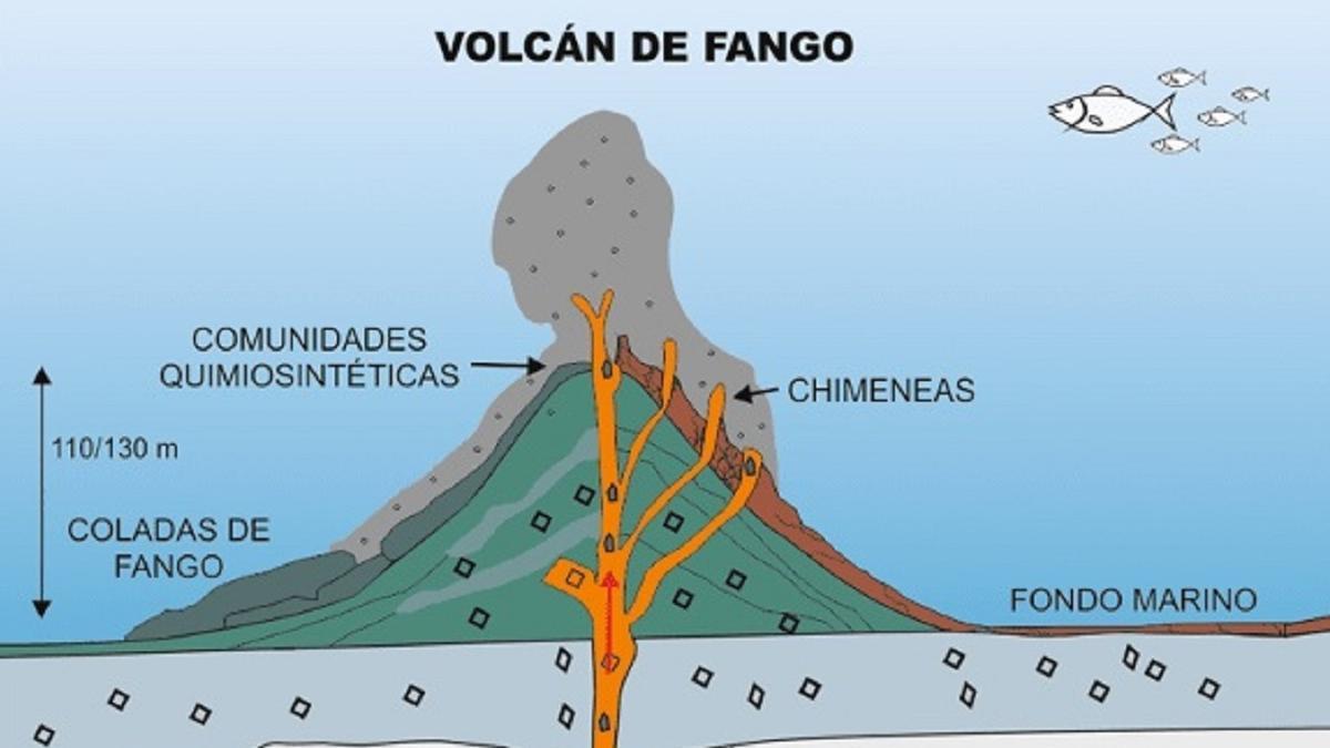 ¿Cómo son los cinco nuevos volcanes descubiertos frente a Cádiz?