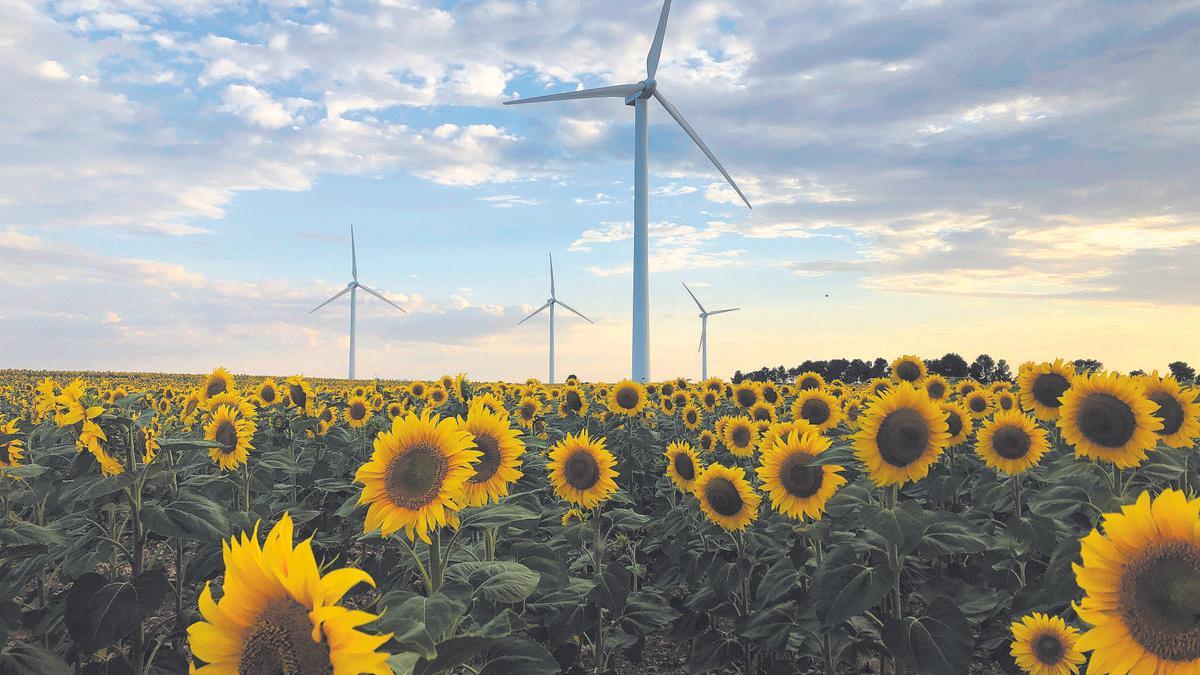 Ecosistemas esenciales para una economía sin emisiones