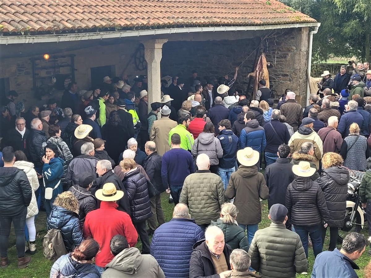 Veciños e visitantes seguindo o despece do porco na Matanza de Lalín