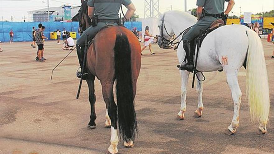 19 detenidos y 116 sancionados por estupefacientes durante el FIB