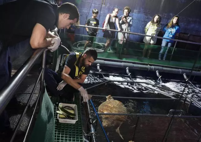 En imágenes: Una visita a los secretos del Acuario de Gijón