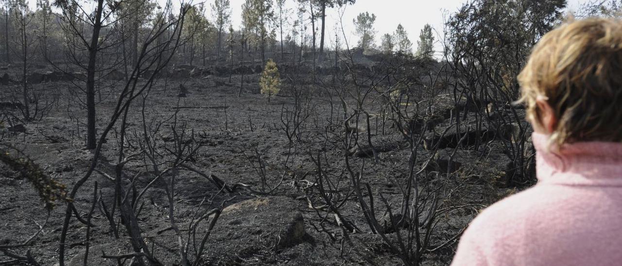 Un incendio forestal en el monte Pedroso, en Rodeiro, en abril del año pasado. |  // BERNABÉ/JAVIER LALÍN