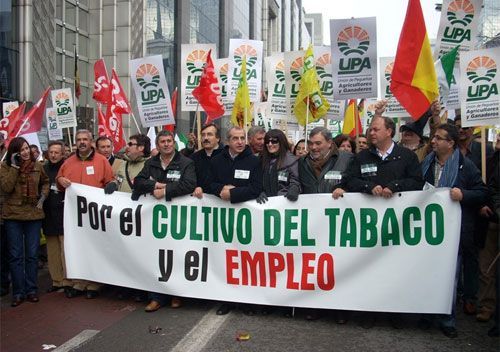 10.000 agricultores piden la prórroga de las ayudas al tabaco