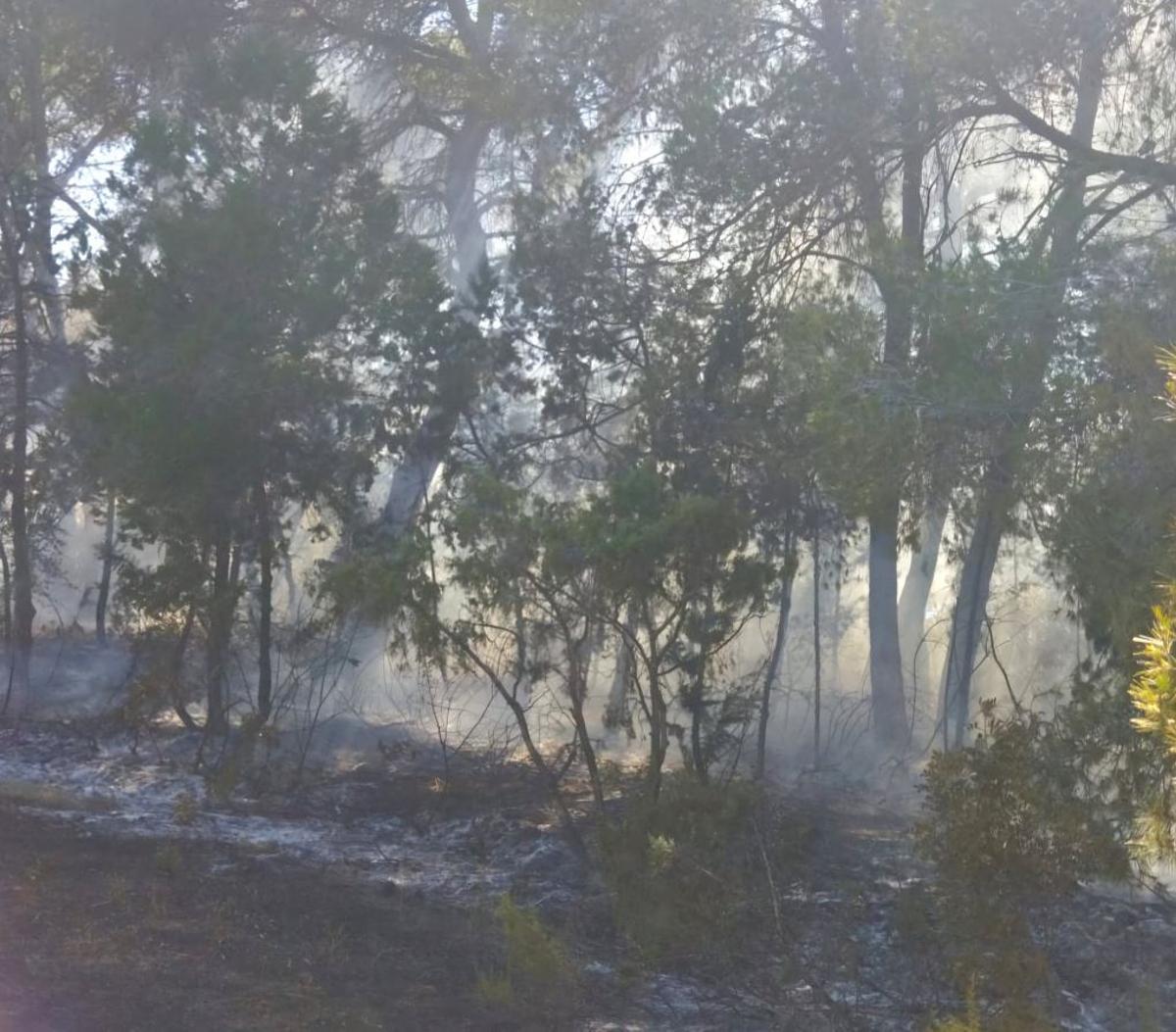 Zona afectaa por el fuego.