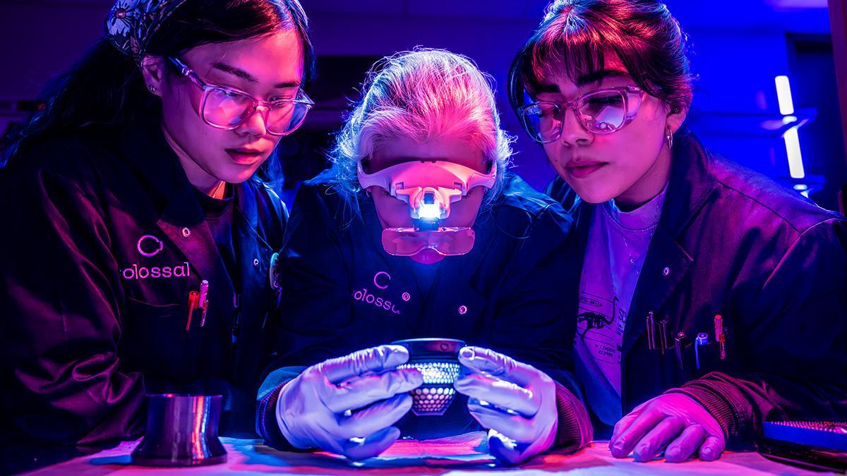Científicos de la empresa Colossal Bioscience trabajan en el desarrollo de un huevo artificial para incubar embriones de aves extintas.
