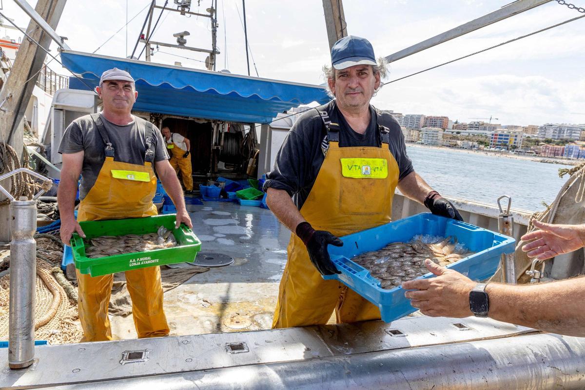 Pescadores descargando sus capturas en el puerto de La Vila Joiosa.
