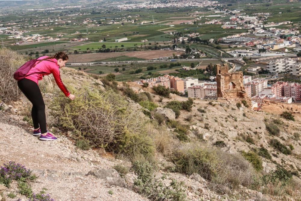 Derrumbe de parte de la Torre Taifal de Orihuela