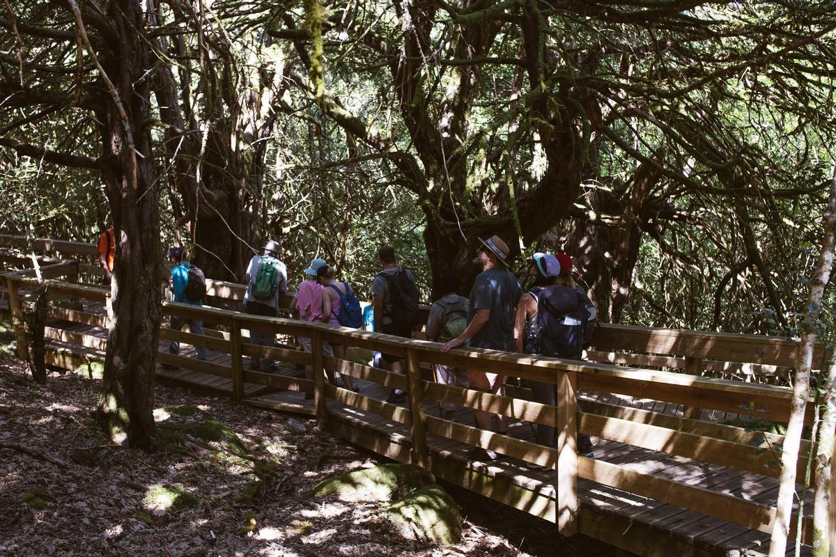 Ruta por El Tejedelo