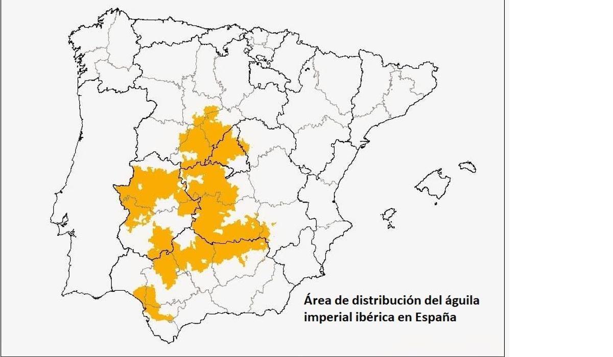 Distribución del águila imperial ibérica