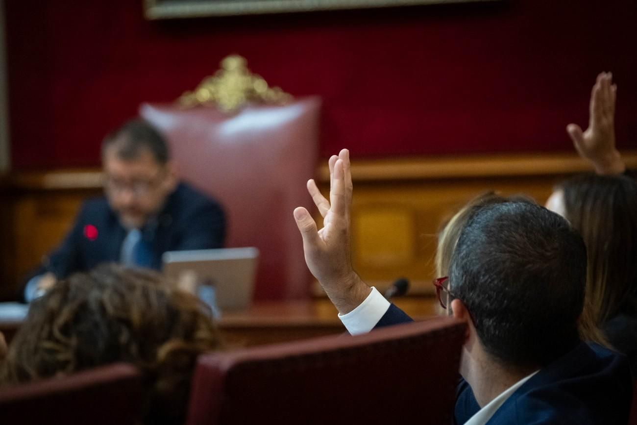 Pleno del Ayuntamiento de Santa Cruz de Tenerife del 29 de noviembre de 2024