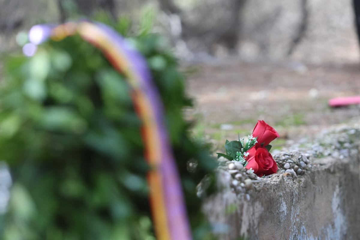 Rosas sobre el Paredón de España.