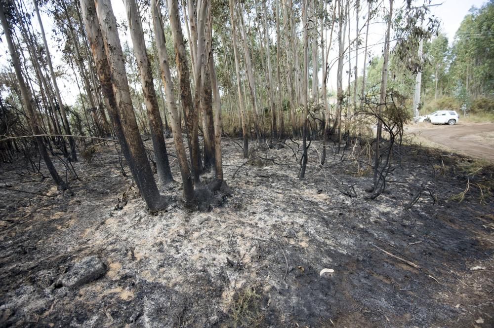 El operativo de extinción incluyó cuatro helicópteros y tres aviones y medios terrestres || Se tomó declaración a una testigo ante la sospecha de que el fuego fue provocado