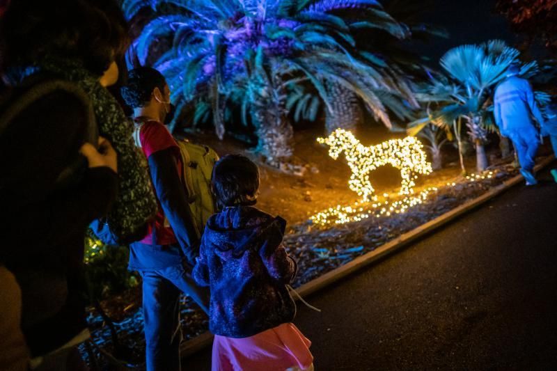 'Naturaleza Encendida'  en el Palmetum (Santa Cruz de Tenerife)