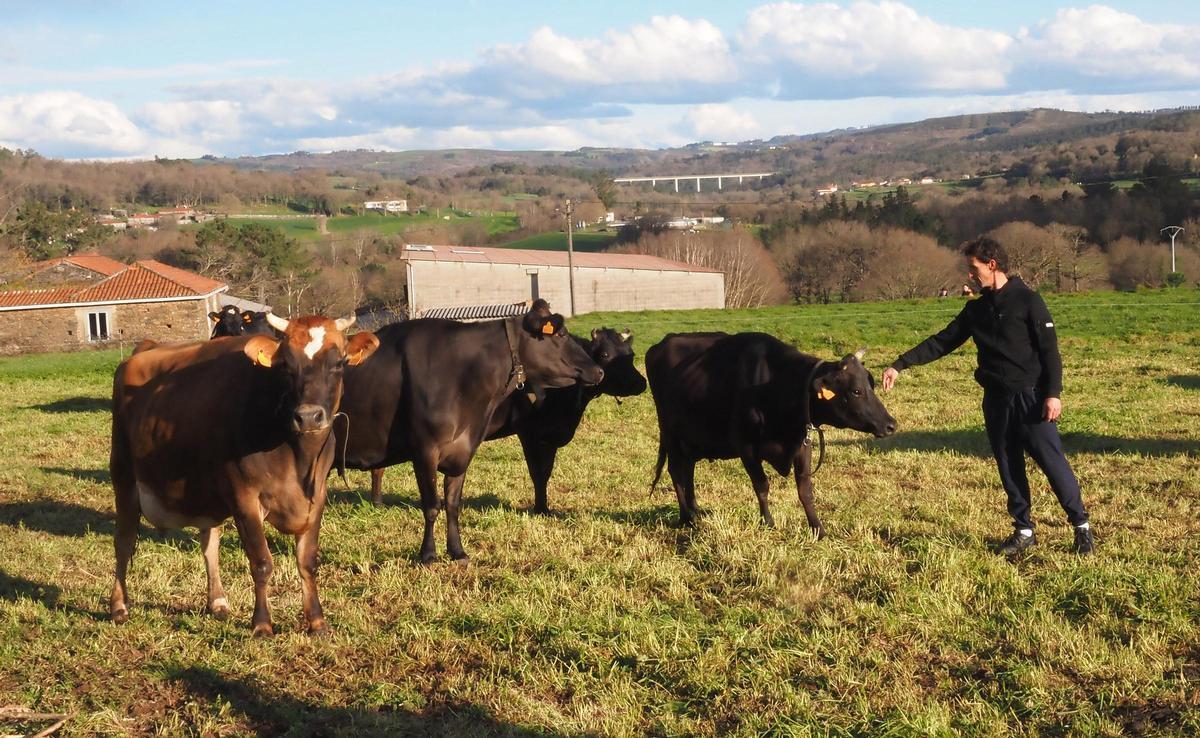 José Lorenzo, de Casa do Carril, con sus vacas.