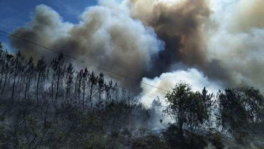 Imagen de uno de los incendios en la provincia, en Verea. // FdV