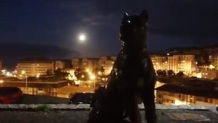 La Superluna de Nieve brilla sobre Las Palmas de Gran Canaria