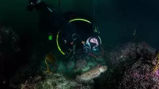Los fondos marinos del paraíso de Arneles: mucha basura y sin rastro de zostera