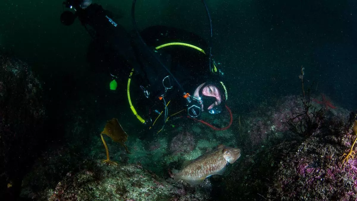 Los fondos marinos del paraíso de Arneles: mucha basura y sin rastro de zostera