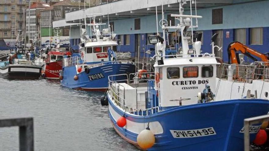 Barcos de cerco amarrados en Vigo con el cartel de &quot;Se vende&quot; hace un mes.  // Marta G. Brea