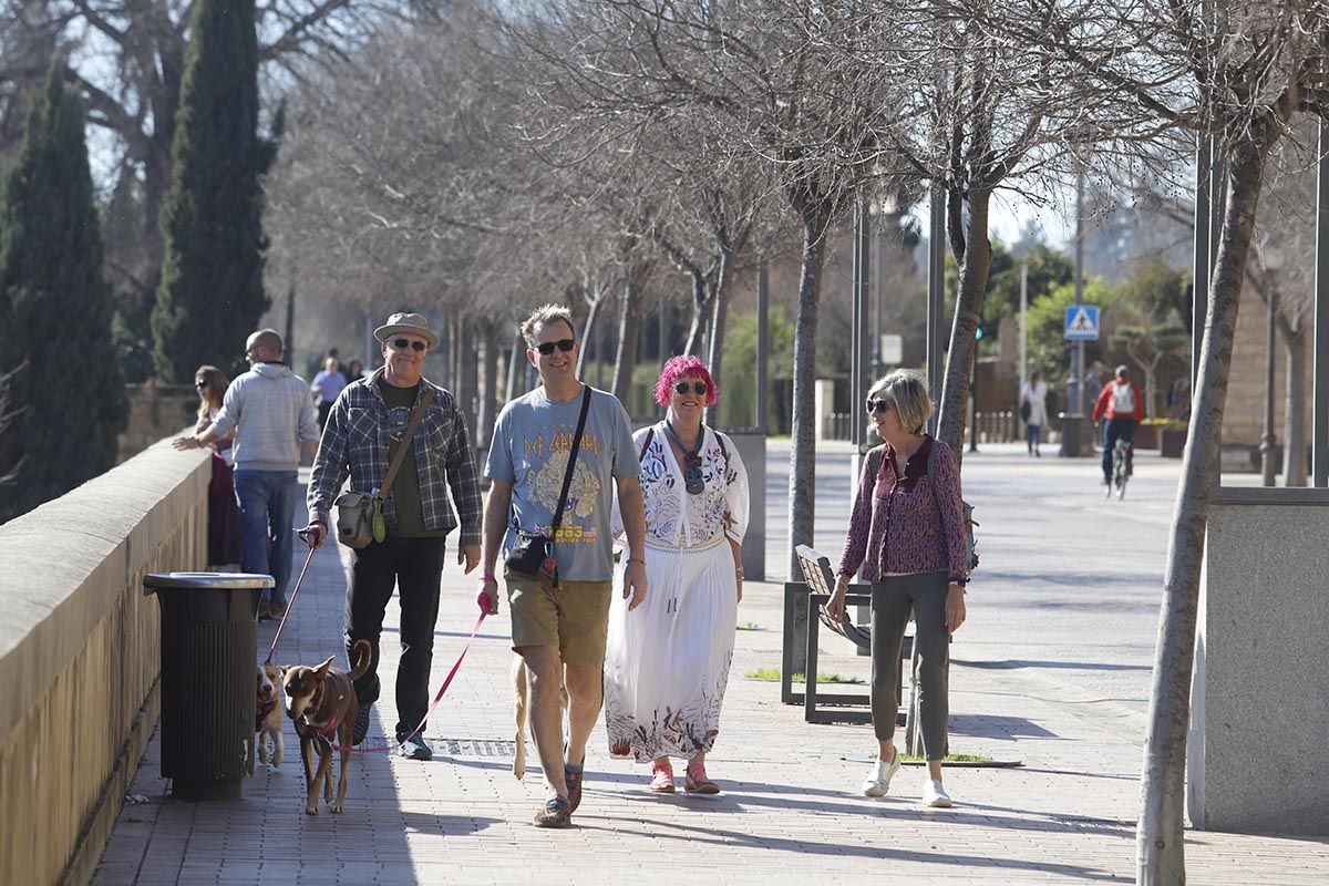 Primaveral día invernal en Córdoba